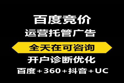 百度优化推广案例：打造行业领先品牌
